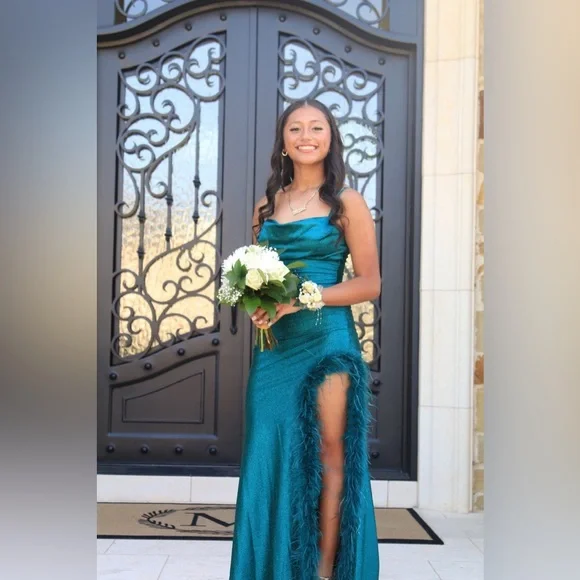 Maxi Dress with Feather Detail prom dress - Picture 1 of 4